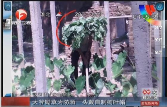 農(nóng)民防曬有絕招，就地取材，頭戴樹(shù)葉自制帽子