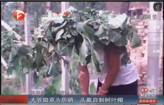 農(nóng)民防曬有絕招，就地取材，頭戴樹(shù)葉自制帽子